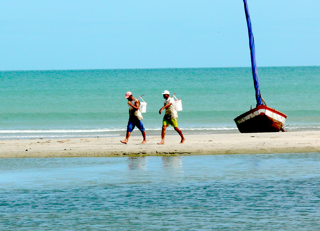 Brazilian Beach 2